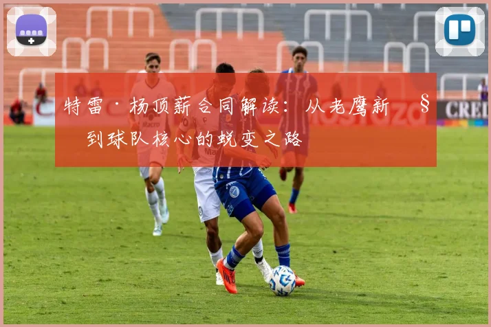 特雷·杨顶薪合同解读：从老鹰新秀到球队核心的蜕变之路