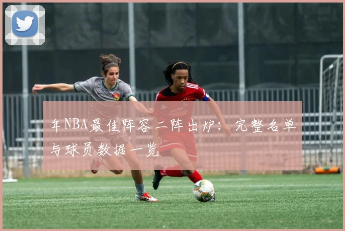 年NBA最佳阵容二阵出炉:完整名单与球员数据一览